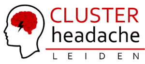 dev2025.clusterhoofdpijnleiden.nl